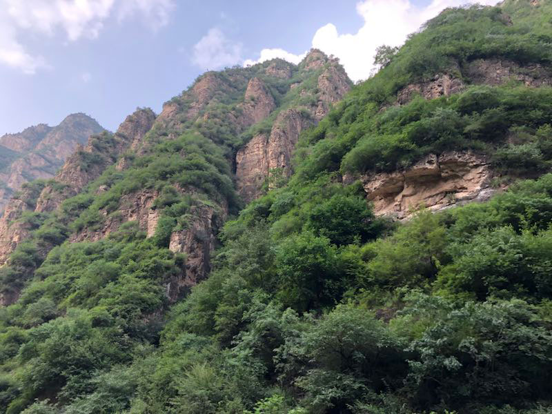 20180810112748_5657.jpg 20180810112748_5657.jpg